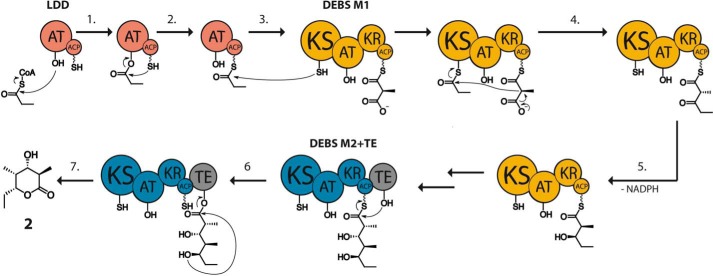 FIGURE 2.