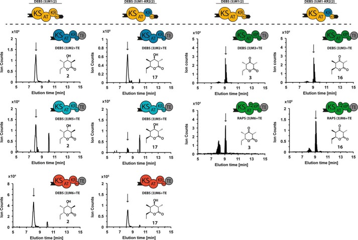 FIGURE 10.