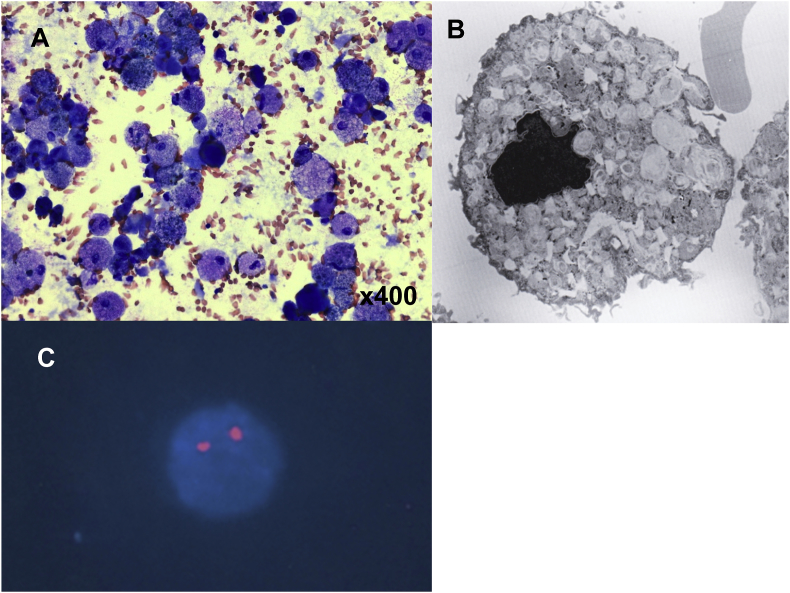 Fig. 2