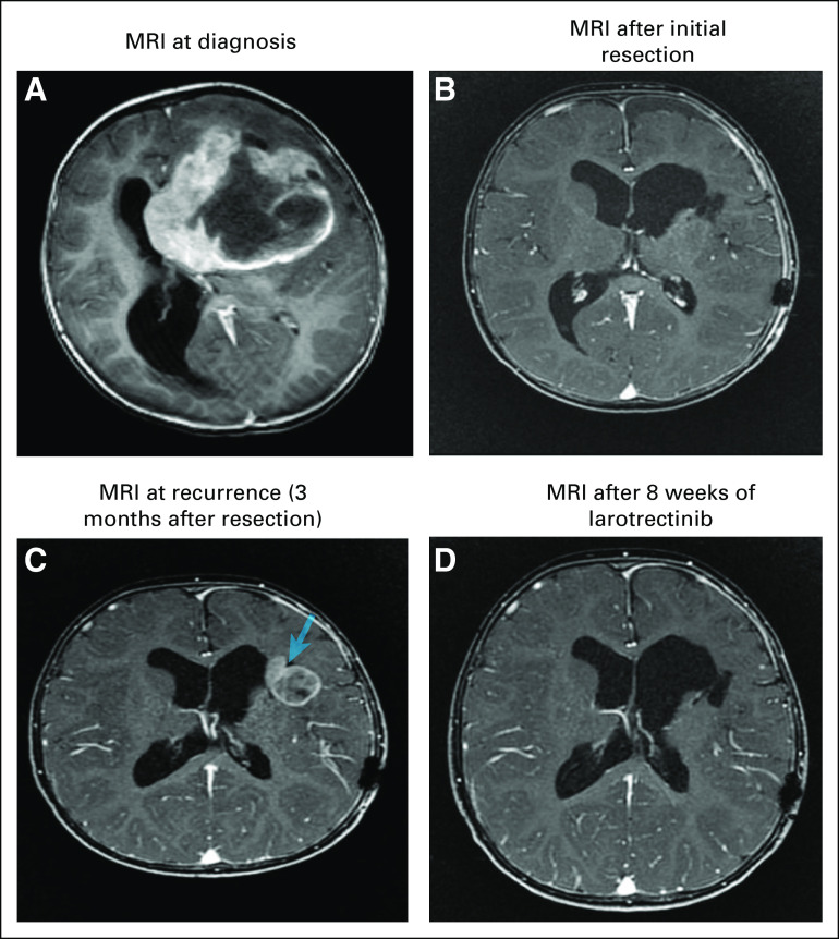 FIG 1.