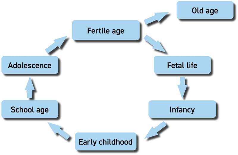 Figure 1.