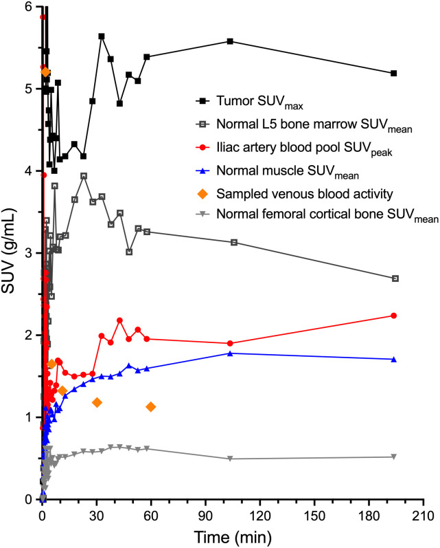 FIGURE 3.