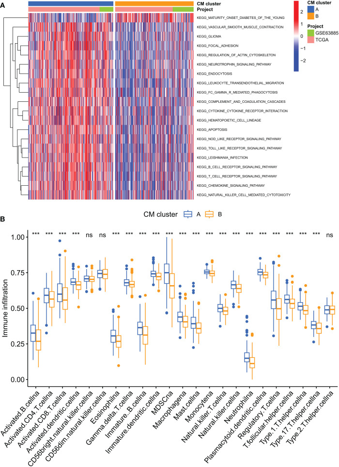 Figure 3