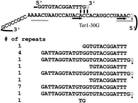 FIG. 7.