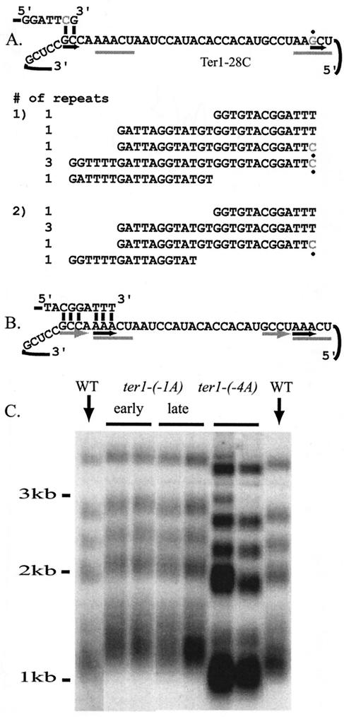 FIG. 8.