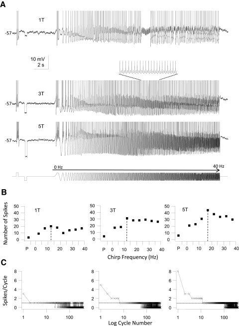 Fig. 7.