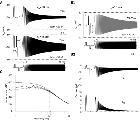 Fig. 12.