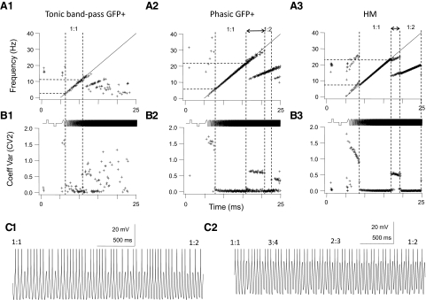 Fig. 8.