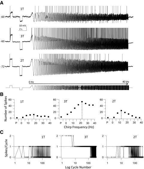 Fig. 6.