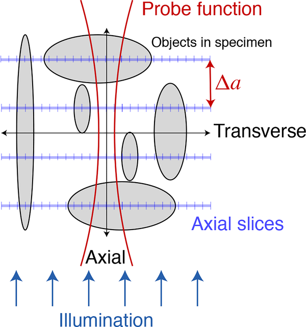 Fig. 2.