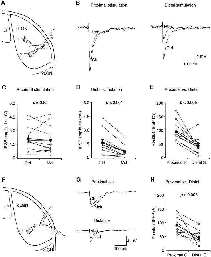 Fig. 8.