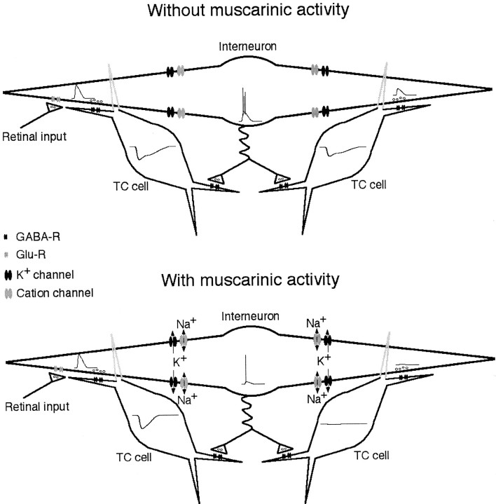 Fig. 9.