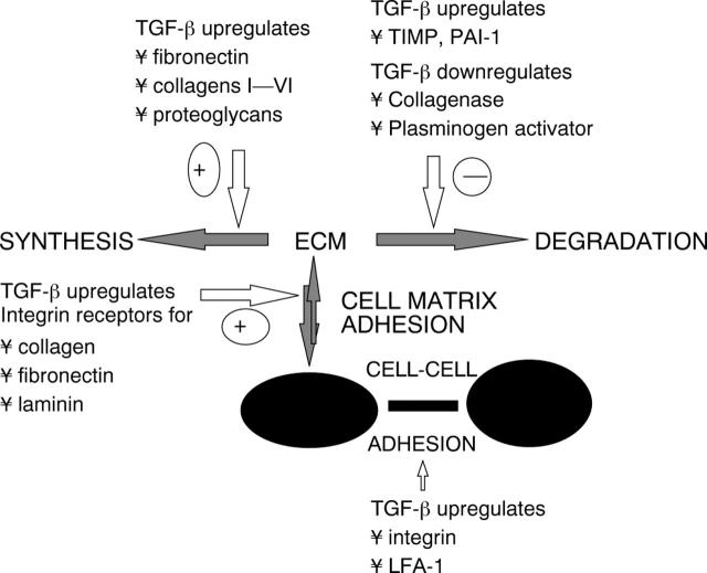 Figure 1  