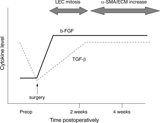 Figure 2  