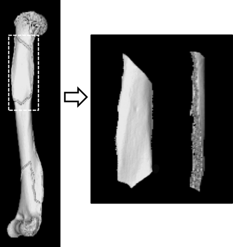 Fig. 8