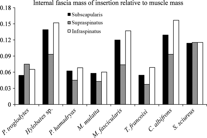 Fig. 10