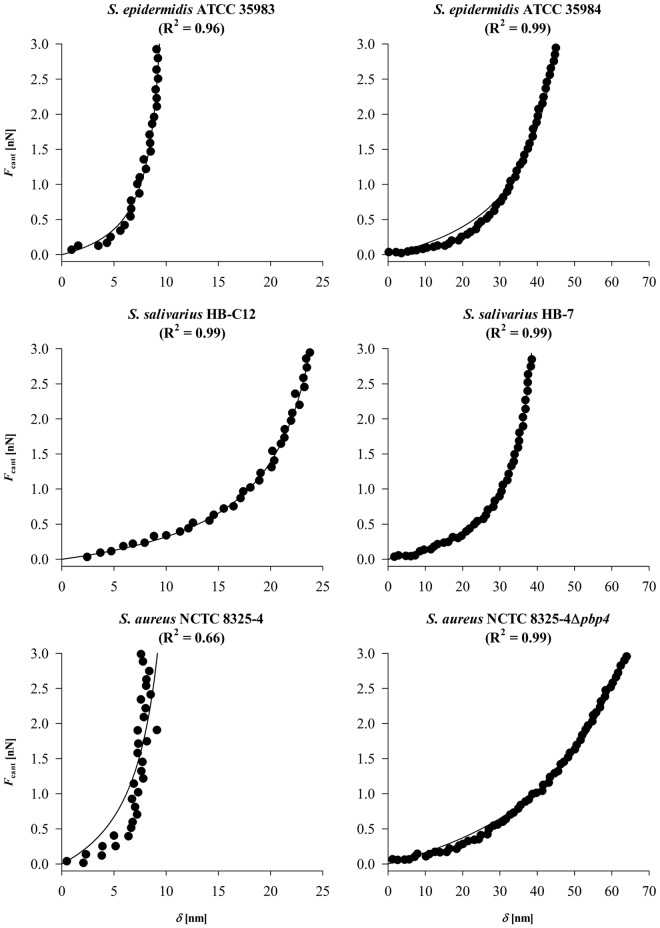 FIG 2 