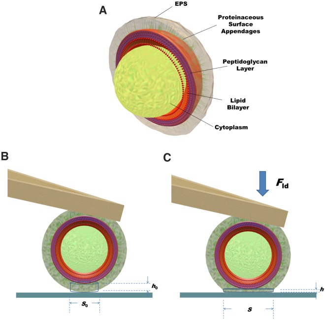 FIG 1 