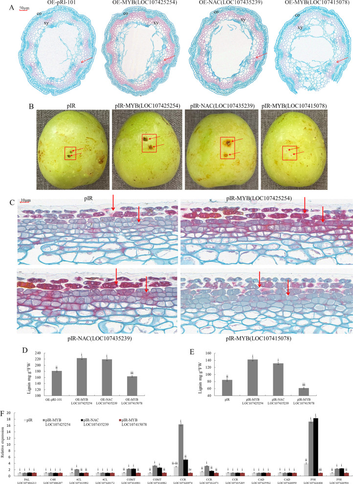 Fig. 6