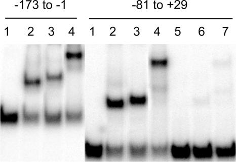 FIG. 5.