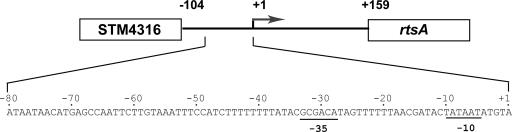 FIG. 2.