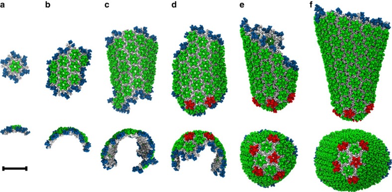 Figure 6