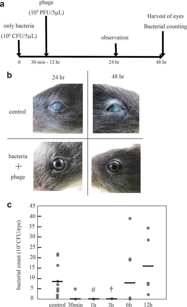 FIG 4