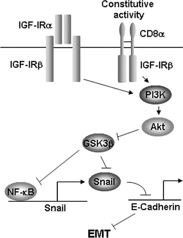 FIG. 8.