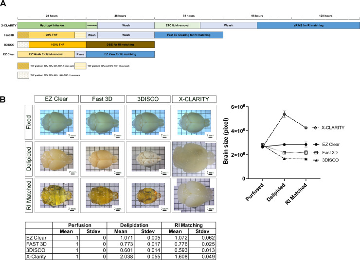 Figure 1—figure supplement 1.