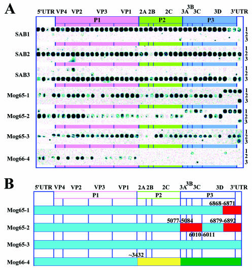 FIG. 2.