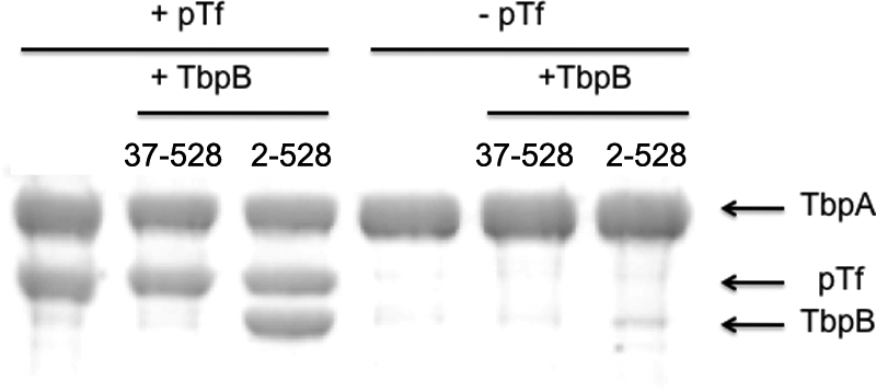 FIGURE 4.