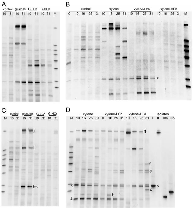 FIG. 5.