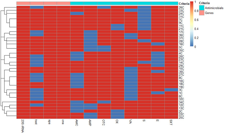 Figure 6