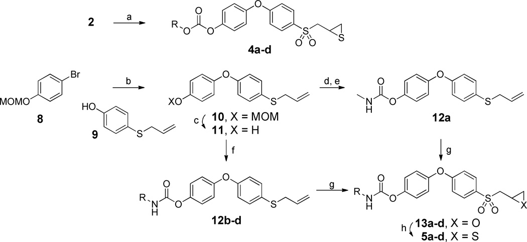 Scheme 1