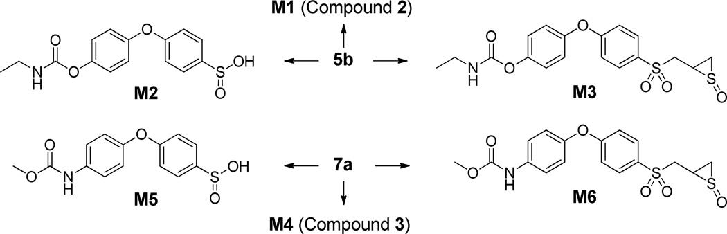 Scheme 3