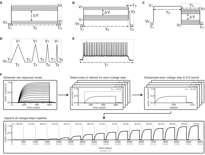 Figure 3—figure supplement 1.