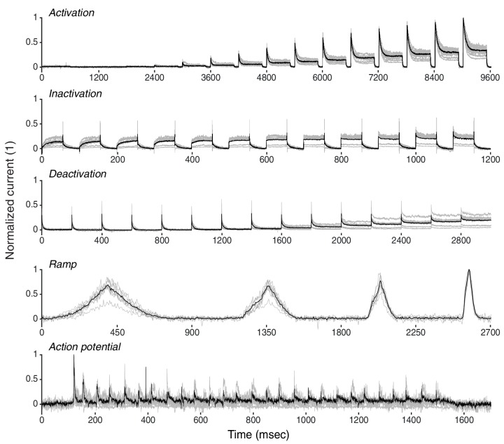 Figure 6—figure supplement 1.