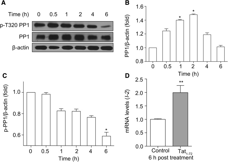 Fig. 3