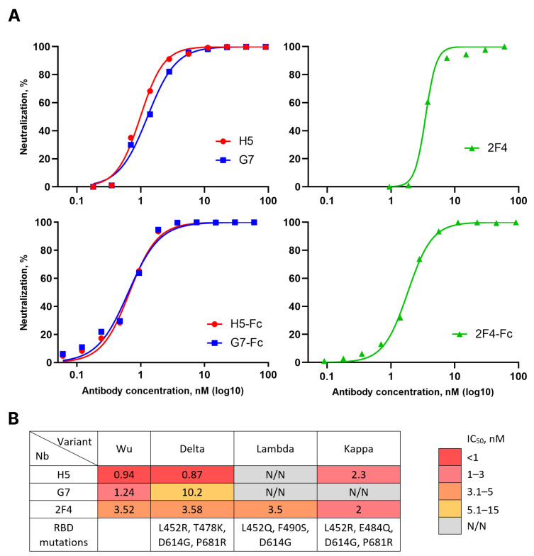 Figure 2