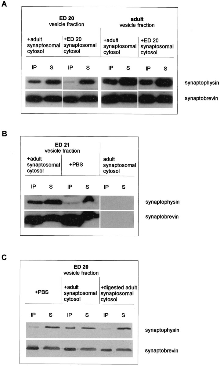 Fig. 9.