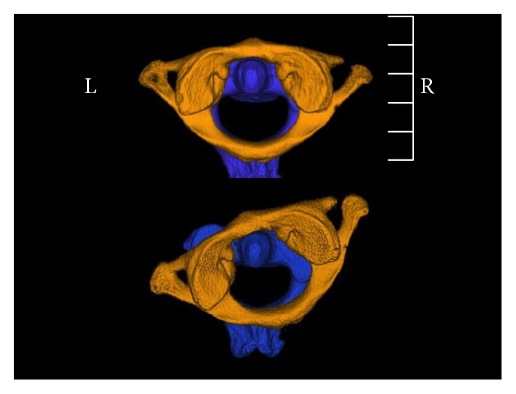 Figure 4