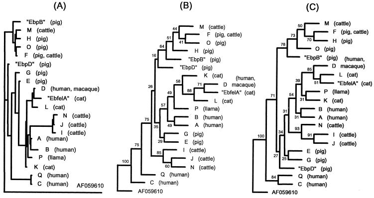 FIG. 1