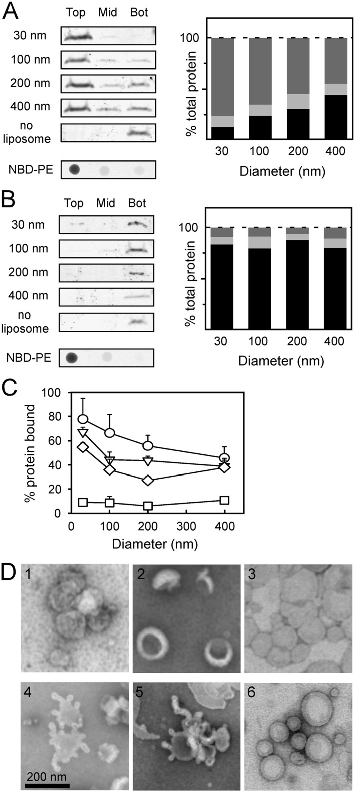 Fig. 4.