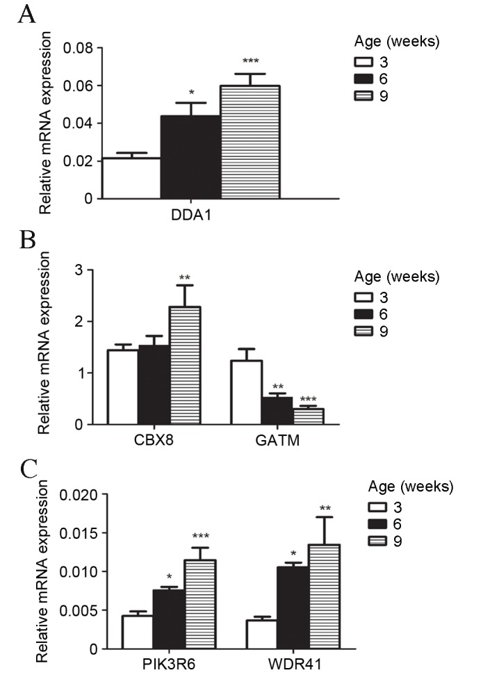 Figure 4.