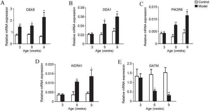 Figure 3.