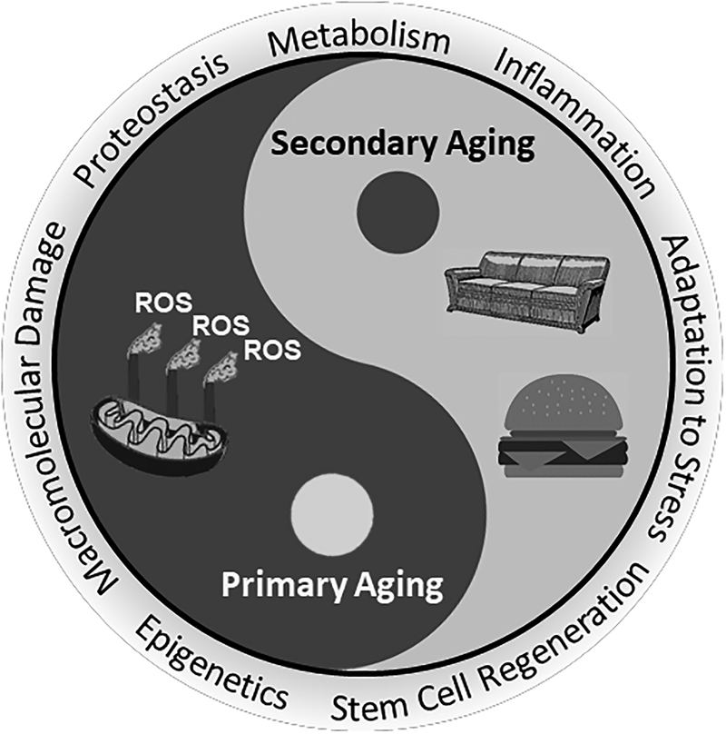 Figure 1: