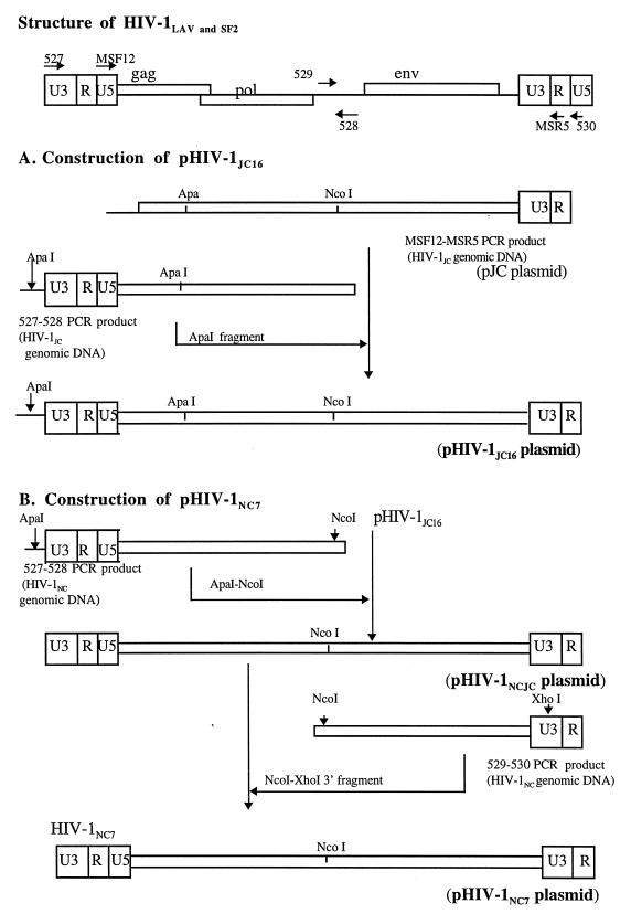 FIG. 1