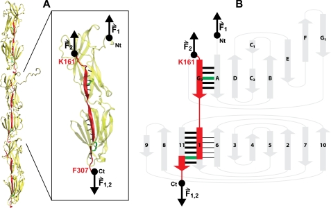 FIGURE 4.