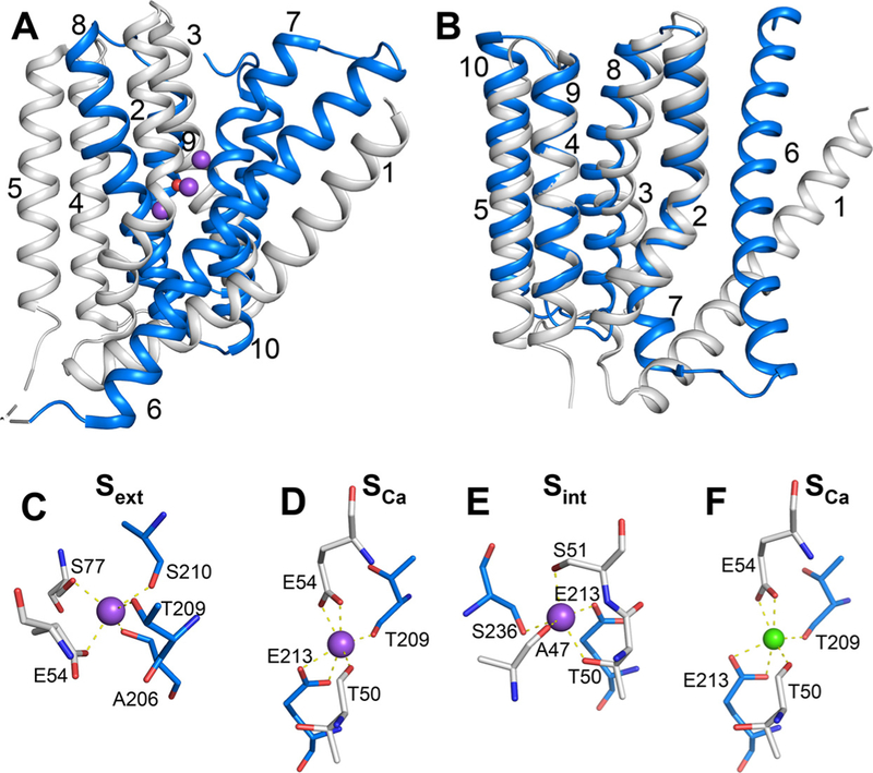 Fig. 1.