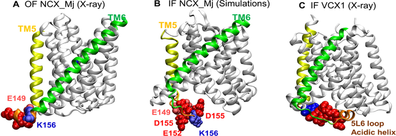 Fig. 9.